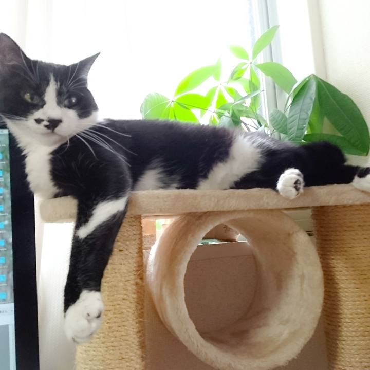 3a7e5e05 edf9 4b5d bba4 f3d4ac93cbfc