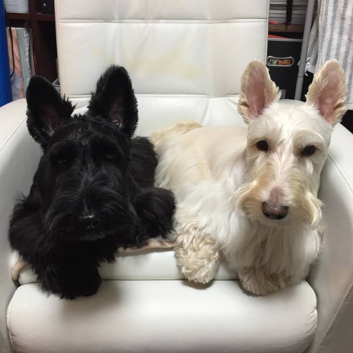 3a7e652f 948d 4285 82fd d02dbfbc7339