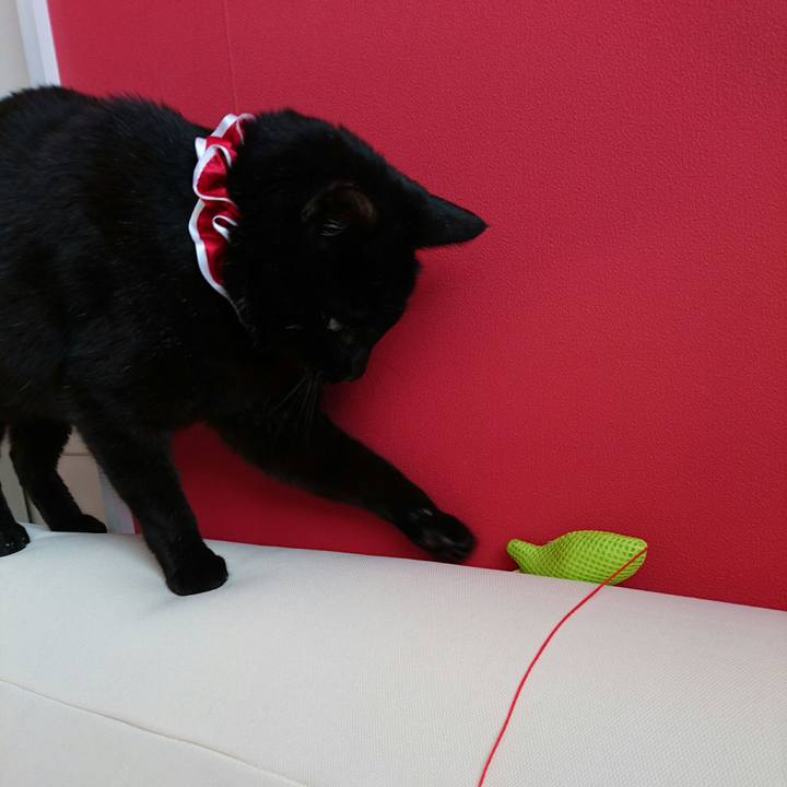 3a7e97a5 26d5 4522 b661 508103485153