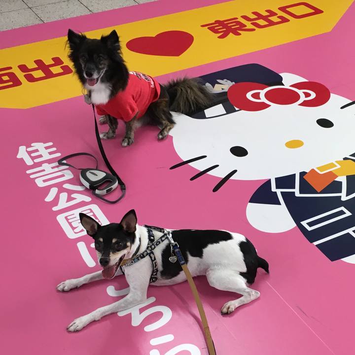 3a7eead7 e428 4340 9cd3 4cae9997a1c6