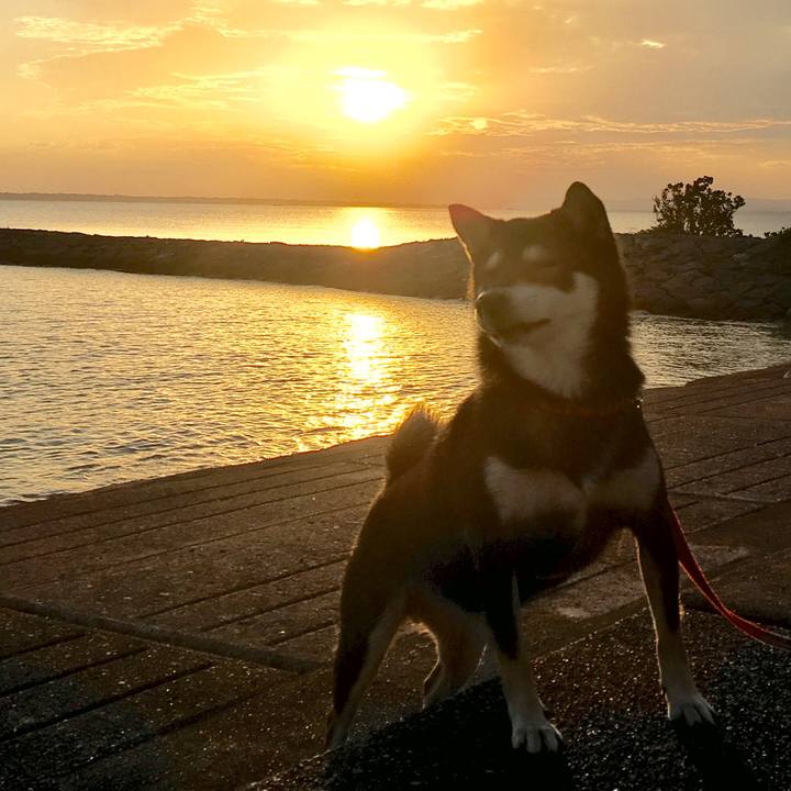 3a7efced 9883 4f23 9135 64c28dfac210