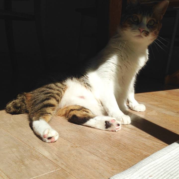 3a7f2485 9b15 4700 bcdb c6df625e1ef7