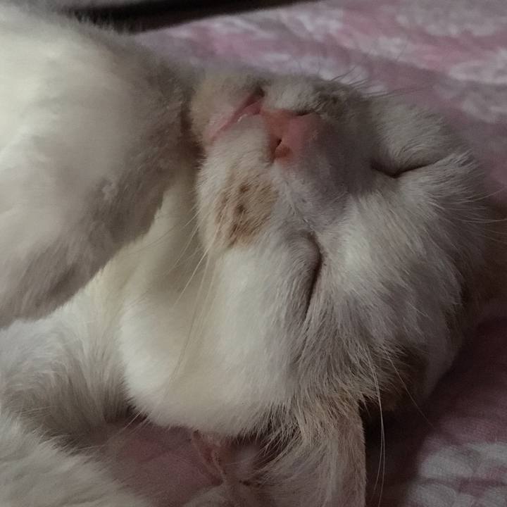 3a7f3393 4eaa 49e4 9cd8 34b4fb81e29b