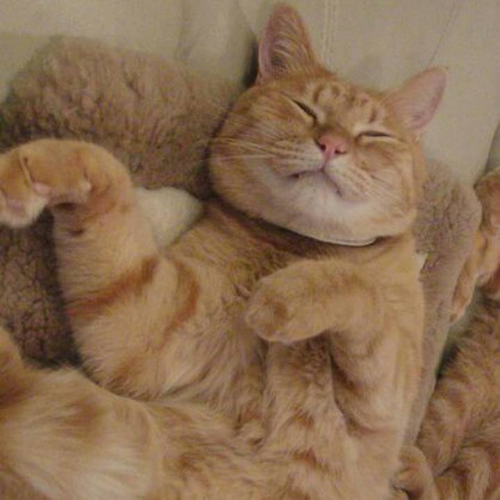 3a7f3f59 ee40 4412 ab5f aafbf868c673