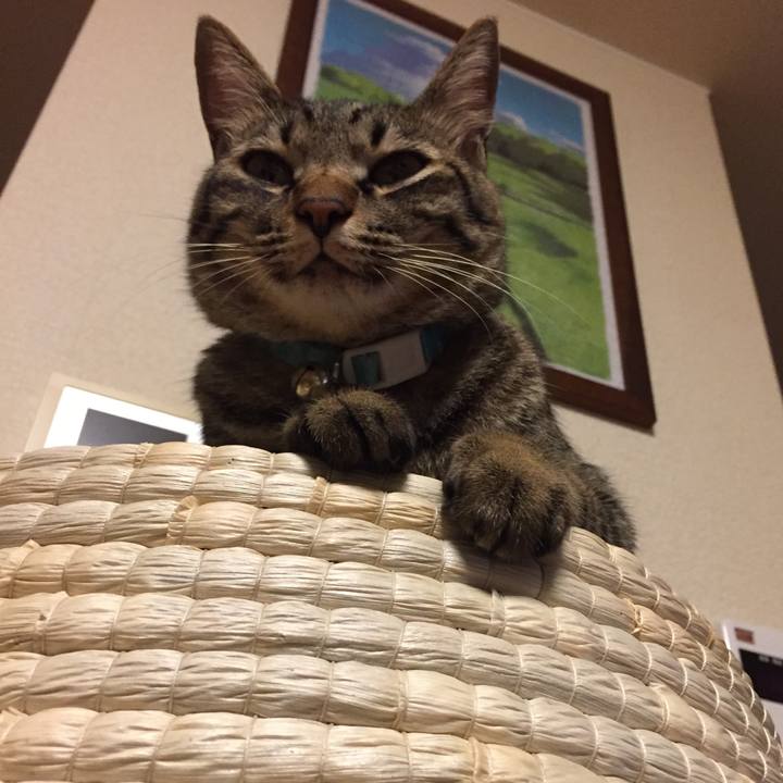 3a7fd7b4 b258 418e 9c56 4fe976d630f5