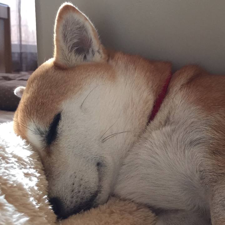 3a7fd98b c674 4e25 928b d54f9ec15c7d