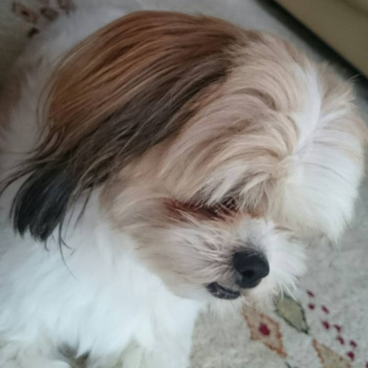 3a8083c3 af05 4884 962e 325ec86d6f9a