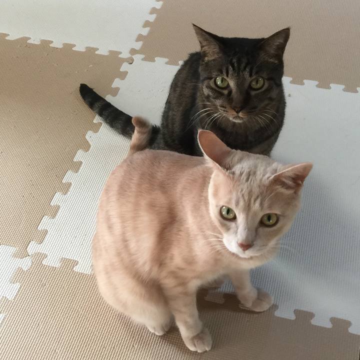 3a80d840 ed0d 4430 809d 895824f026c2