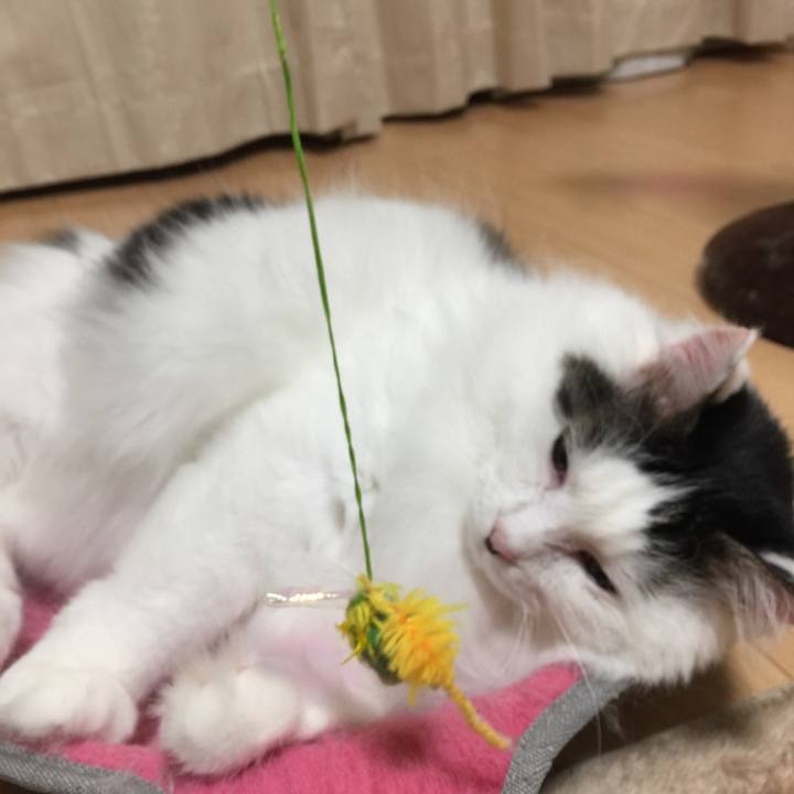 3a82d941 359f 4a4b 8e08 dafa6cc133b7