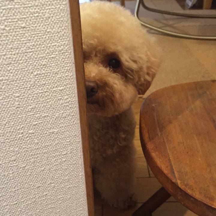 3a844f71 9b3a 49bb 9fb0 c60f4368fdde