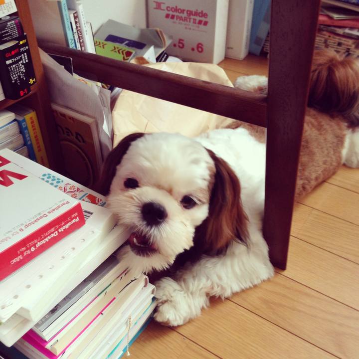 3a84543b 8723 474d aa14 21c3815d1d5e