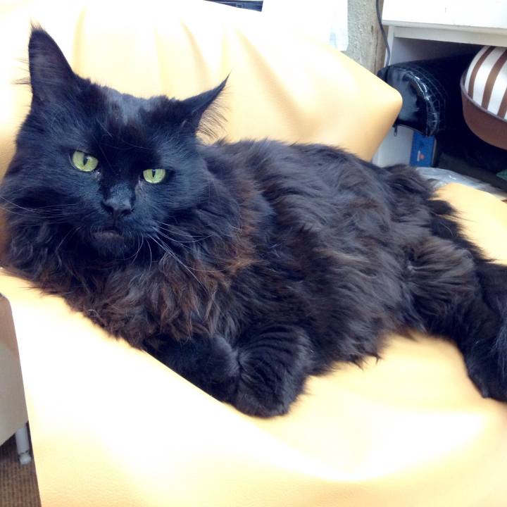 3a84969e b557 40ca 936c 17b988553509