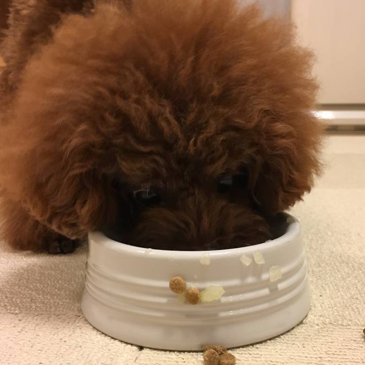 3a84a220 a75d 4318 b614 b4ebca8c6a82