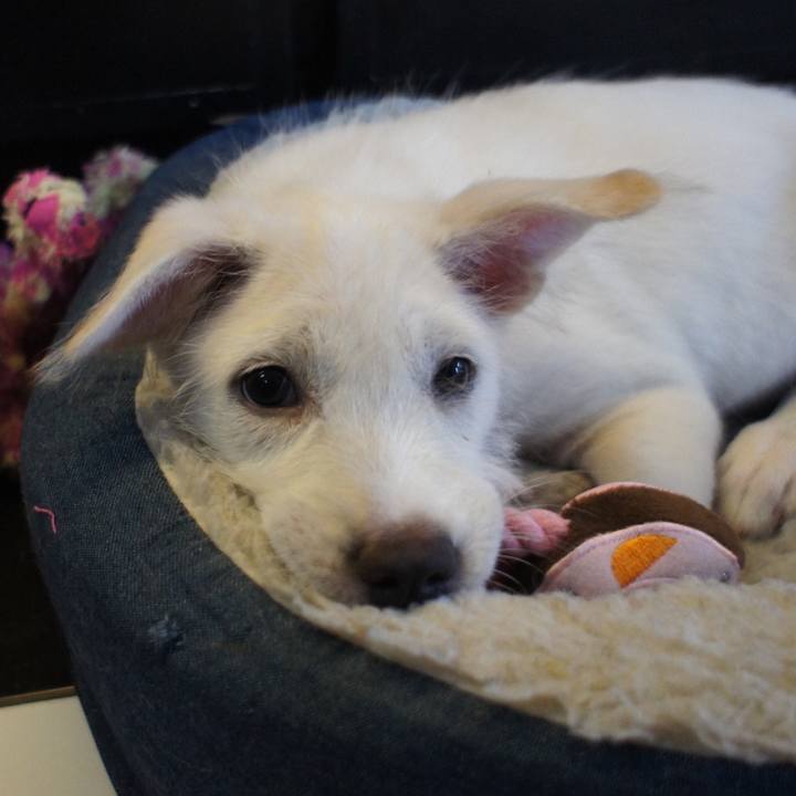 3a84c751 af0e 48ba 89e0 cd784161c00d