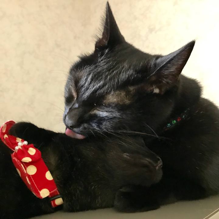 3a84d542 c51a 4ed5 aeed 06a518129308