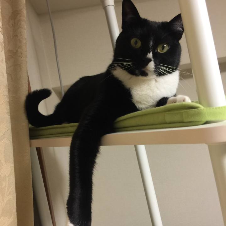 3a84d6b2 471d 44b6 9706 53a9b83434a9