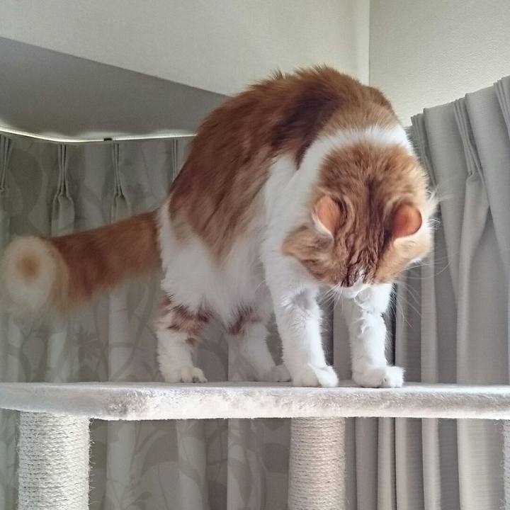 3a84dfaf 8d85 47c8 b352 67461e39e31d