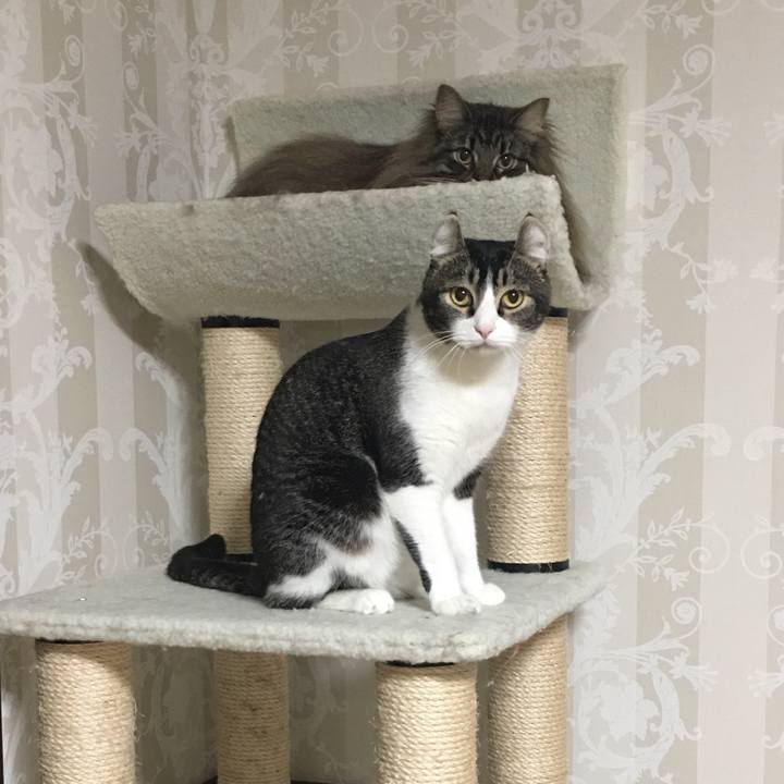 3a851441 5ae8 4b59 9382 4371d11bf31f