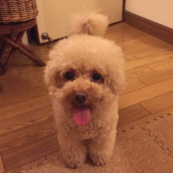 3a857538 61b2 4002 8460 2a24313e6de3