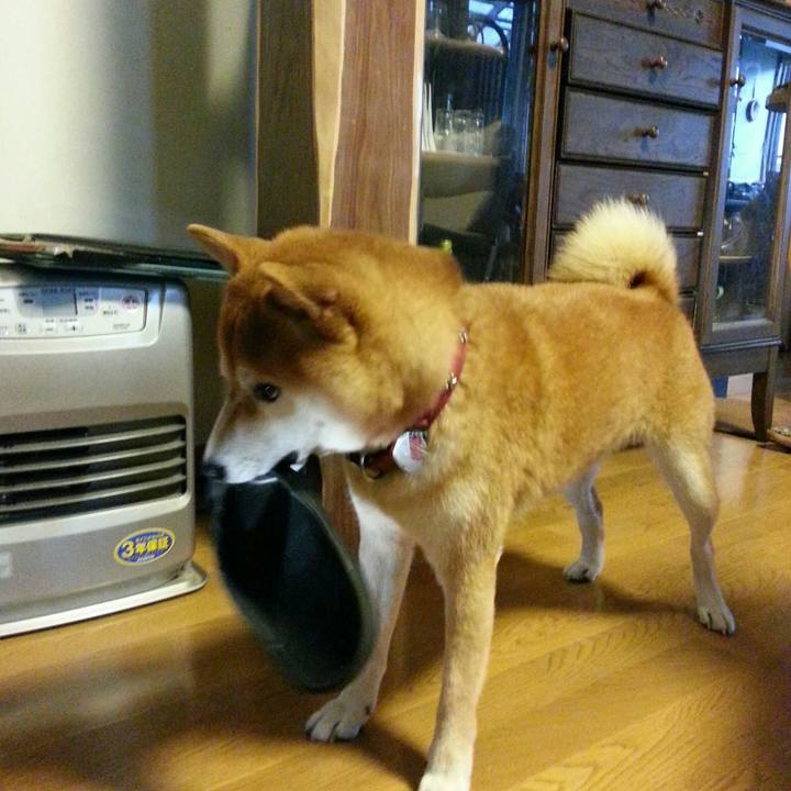 3a85e99c d7d1 4e65 87d6 b9e41e82e7ad