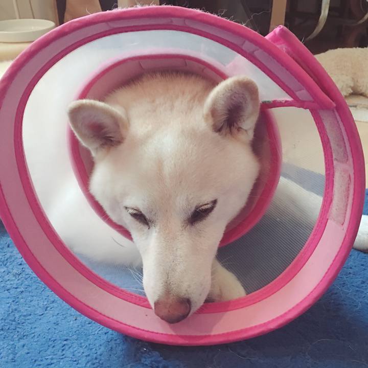 3a8605a7 5799 422b b82a 34216599dd28