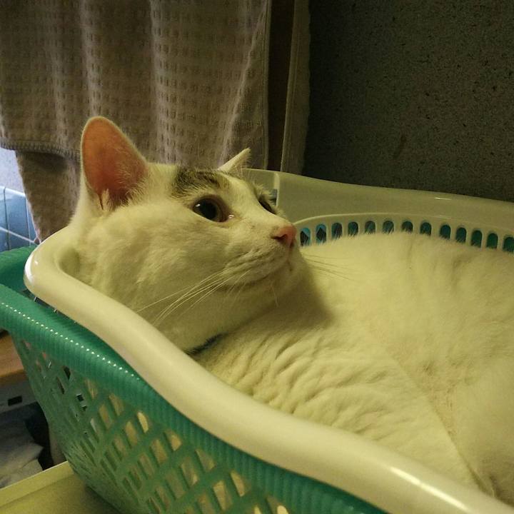 3a8670f6 d7a7 403d aeb9 6ac28d2dc00f