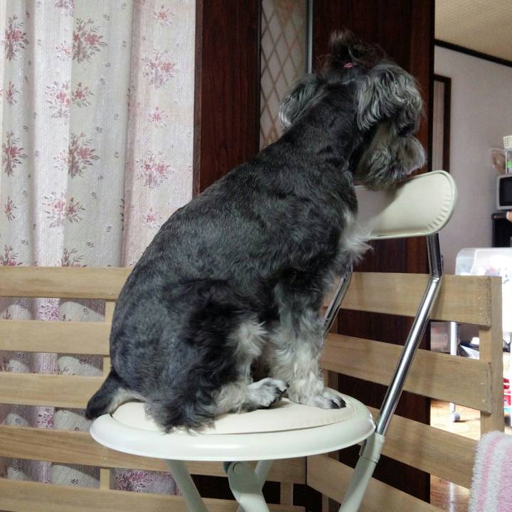 3a8707e7 9eb6 4fd2 9c3f 0ae5fc597bef