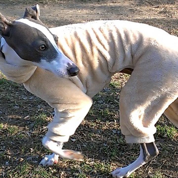 3a8789a6 acb1 4474 8c77 f97bb401b927