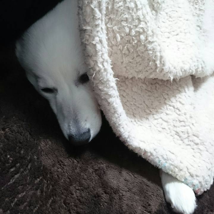 3a88732d 5546 4be3 823f 4554a01d81ef