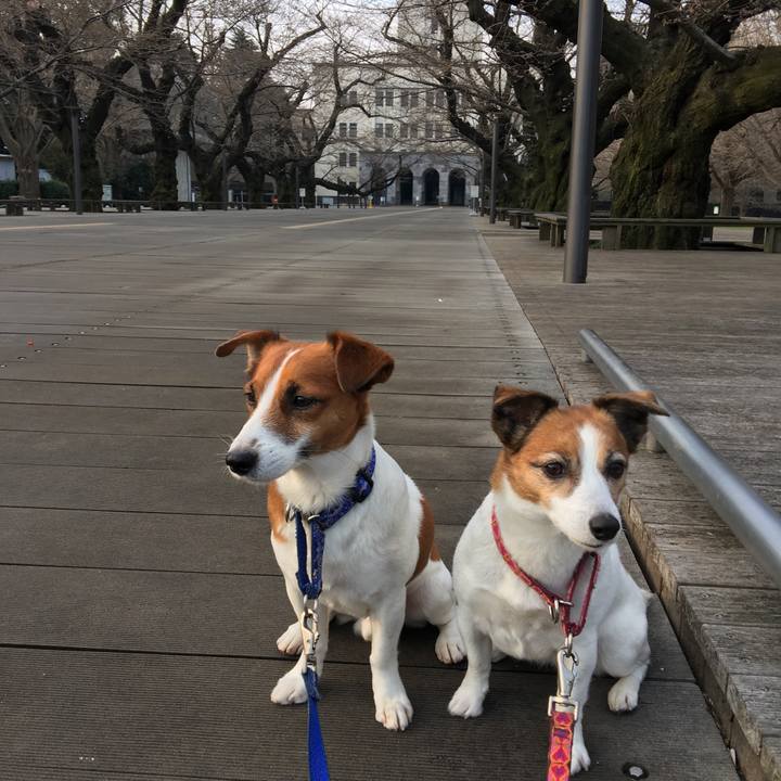 3a889835 1158 458b 8fe9 61ca047ef4df