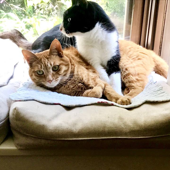 3a88e42c 28f7 4e5f baf3 977106195a38