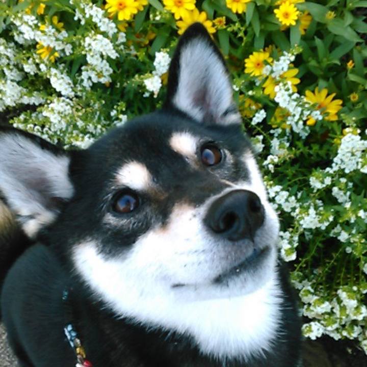 3a88f067 3ac5 4714 b8ec e935e314e2e5