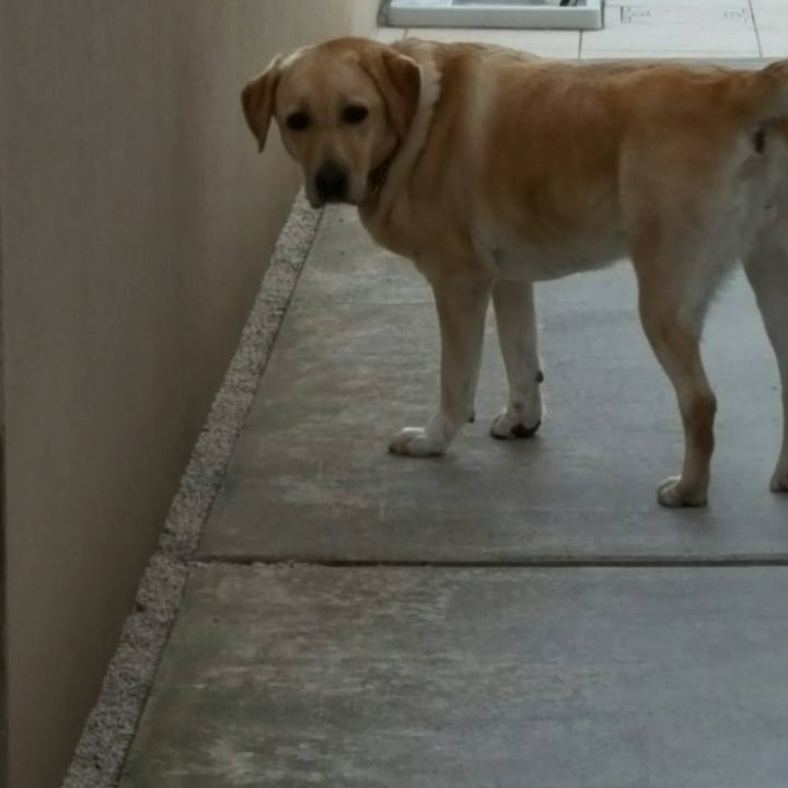 3a89084b f09a 4fd9 9580 ed383a8ea693