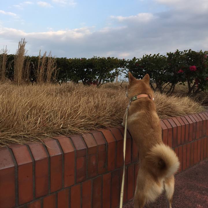 3a89b88d 0394 4709 a591 e6eb315b6f5d