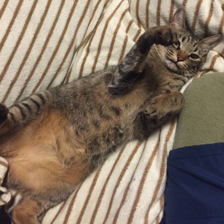 3a8aa3bd 2699 4af6 95a4 467c04b12418