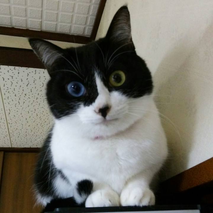 3a8ac992 45c6 4e94 90e1 497fdc55b26a