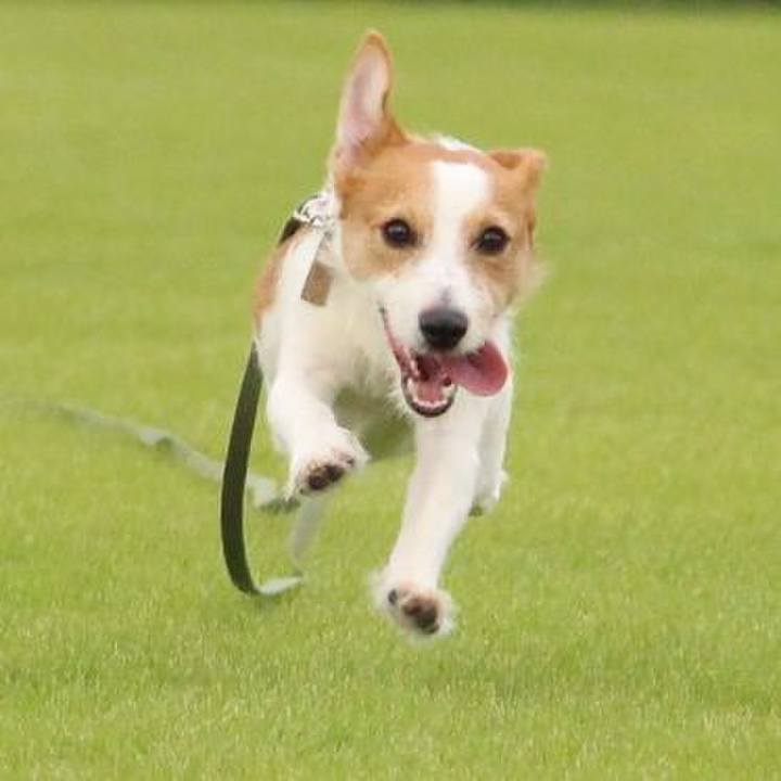 3a8ae97f bee6 4357 891c 0bc35158ec5f