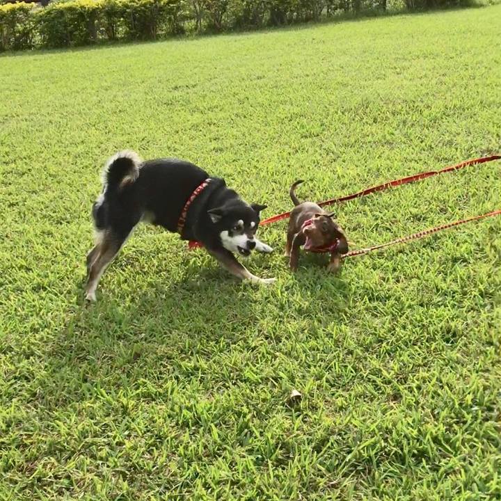 3a8aefaf 61ff 45e3 9ce2 c54ac8691ca8