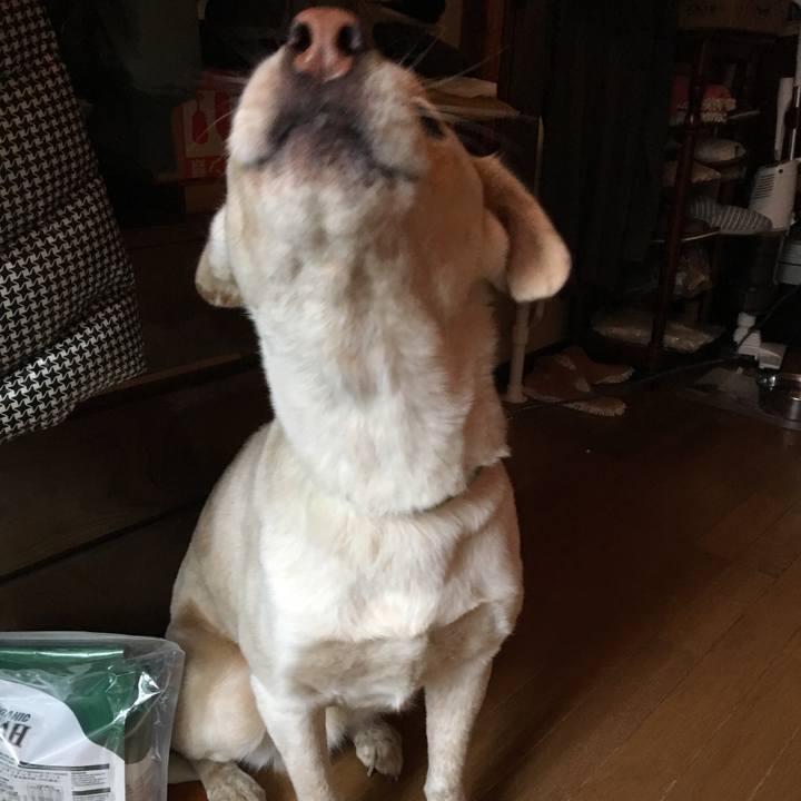 3a8bc898 c7a2 4f7f b3f8 f632567268f2