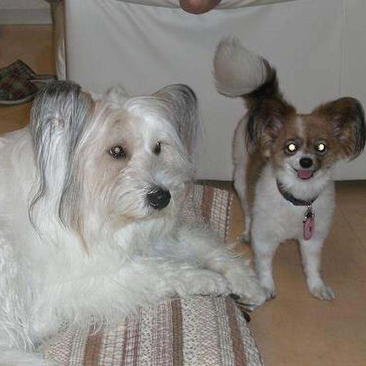 3a8c053d 3c7c 464c bd10 9e640d011a84