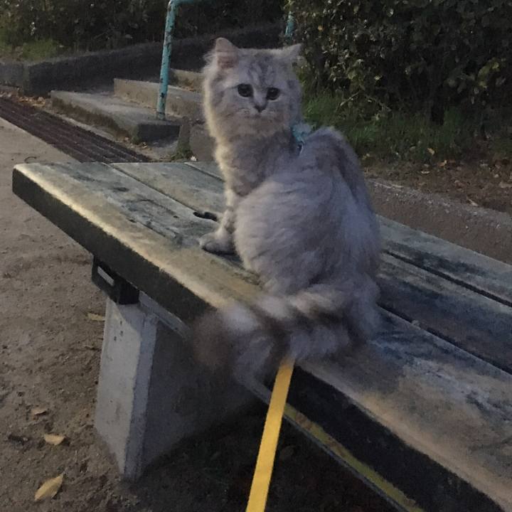 3a8c3563 f76b 4379 a7c2 a854e5a8fd5f