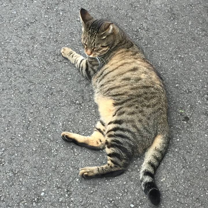 3a8caa55 7f57 44e3 b171 06d8d028aee4