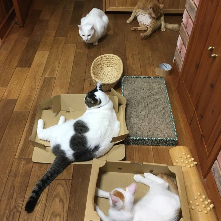 3a8cd610 2fa1 4571 a126 d332408a176b