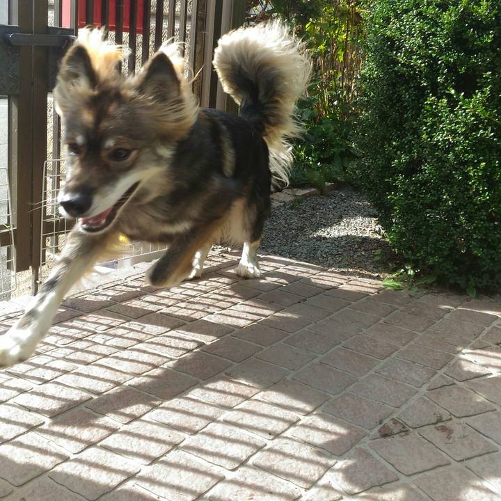 3a8d3831 ee35 40f4 a981 63bab12d2b50