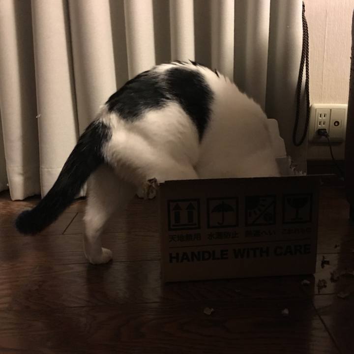 3a8d991a 80eb 4041 8360 cfdb4c3d2411