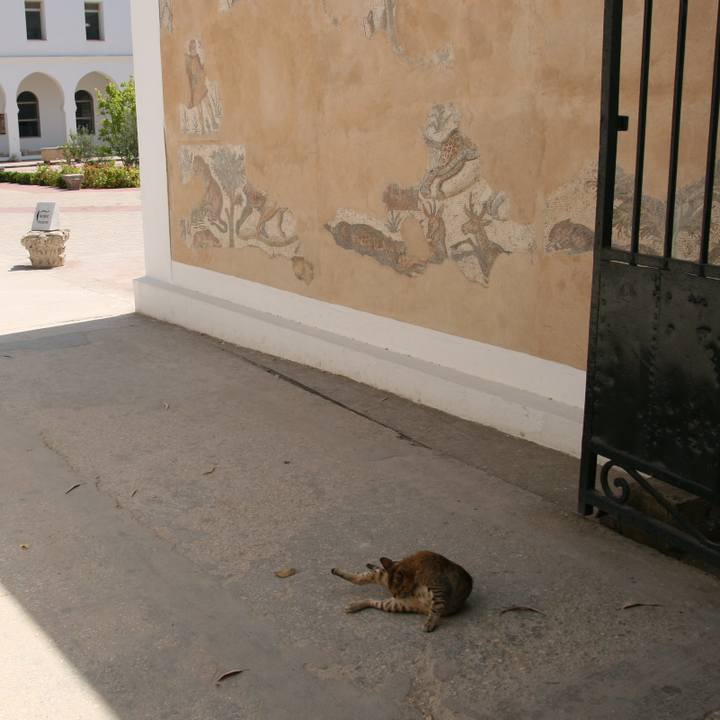 3a8da8fa 3359 4a52 a488 042ec70d3dd0