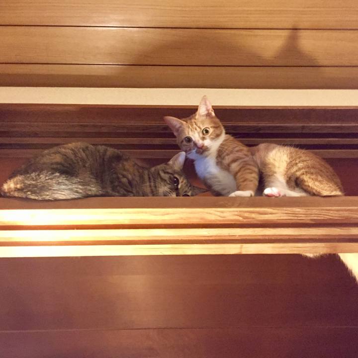 3a8dd564 78fe 4205 a8c3 d2f970bfd071