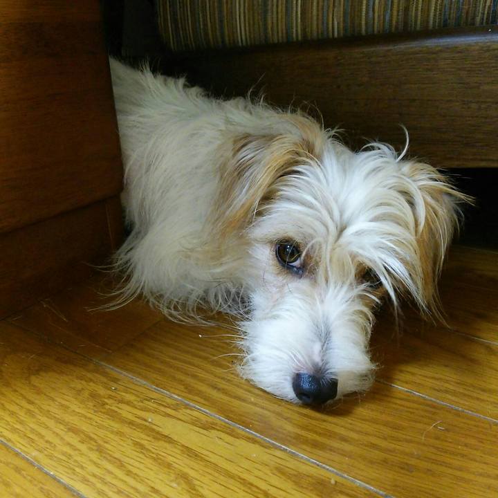 3a8e20a2 87a8 49d1 b694 568f8e53e11d