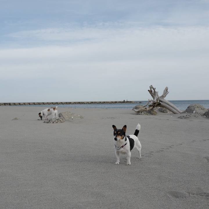 3a8e21c3 edcf 41e5 98b5 5bc76704665e