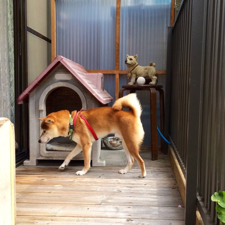 3a8e2521 9ec6 4b90 8035 ceee7f3e49dd